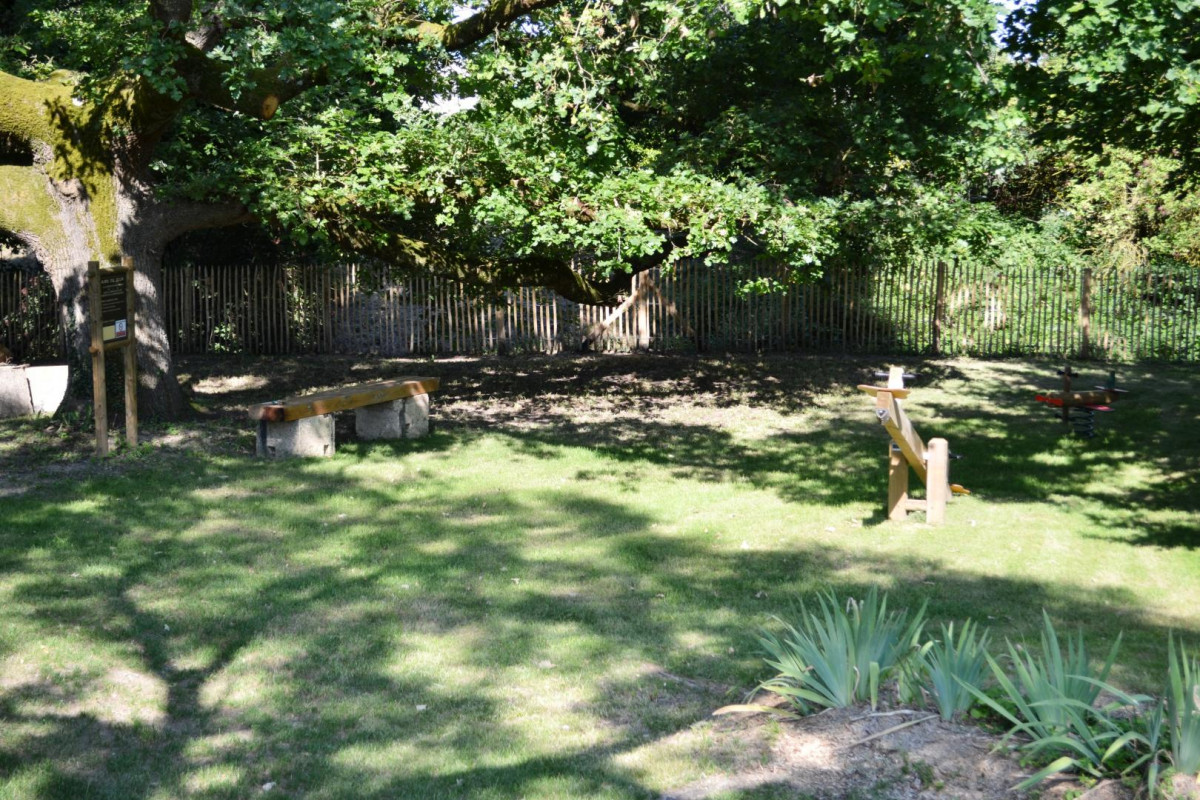 photo 49