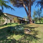 gite - Lalande - PUJOLS - Lot-et-Garonne