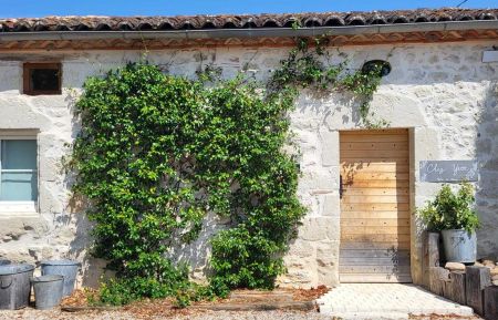 G&icirc;te n&deg;202633 Savignac-sur-Leyze - Lot-et-Garonne - photo