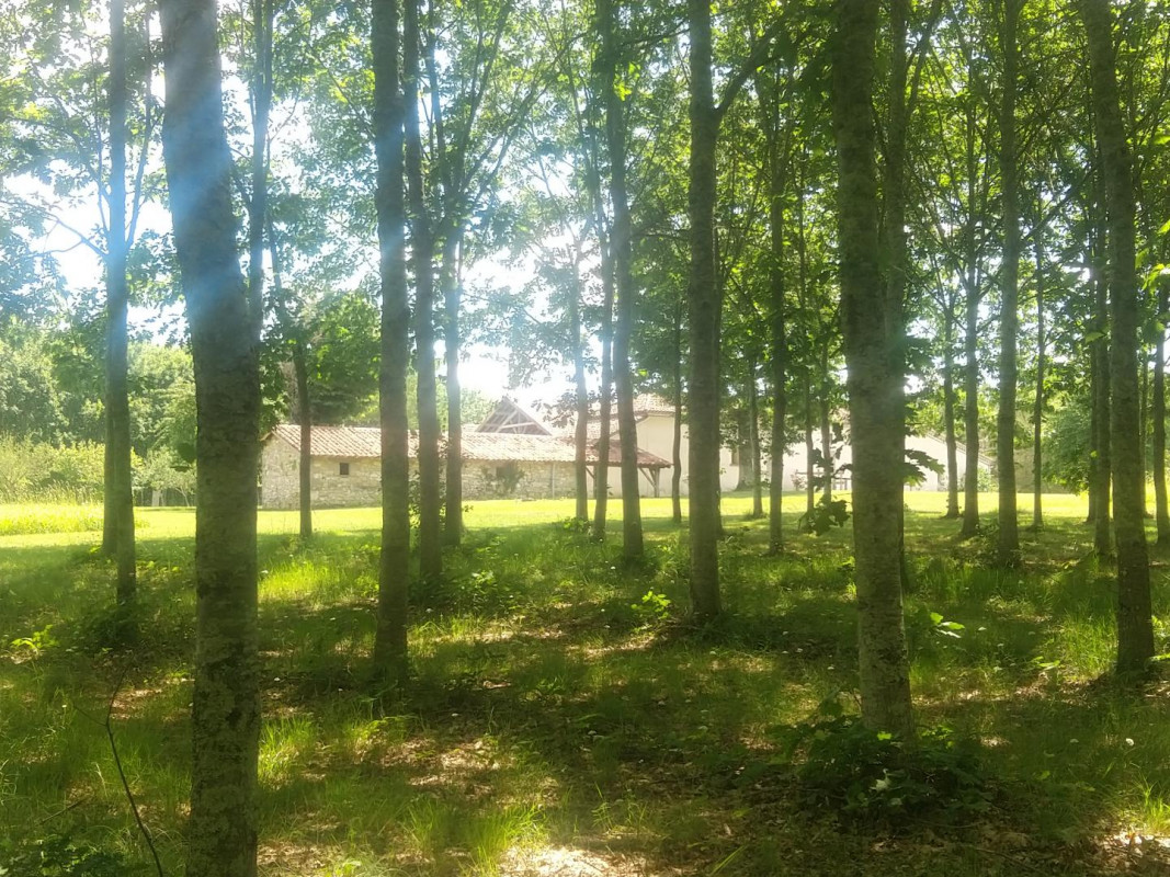 photo 37