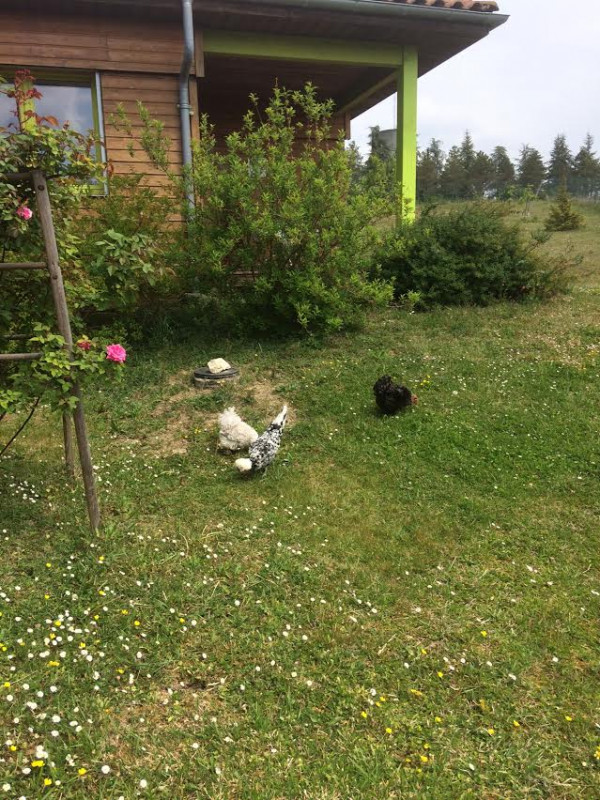 photo 37