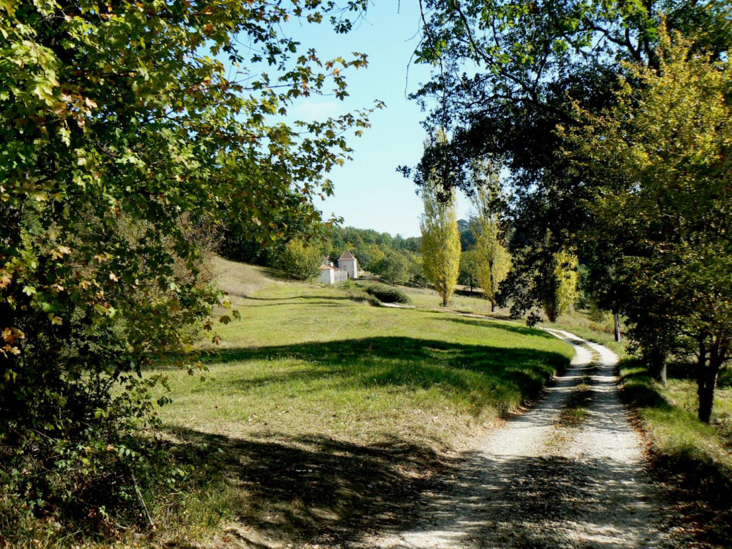 photo 39