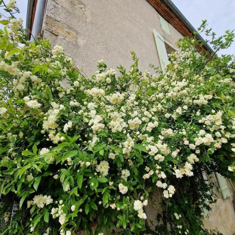 photo 39